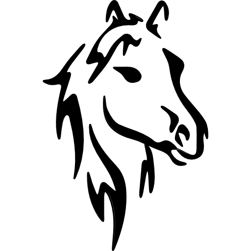 Cavalos